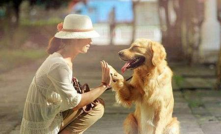 流浪狗跟着我回家是什么征兆(狗吃耗子药)