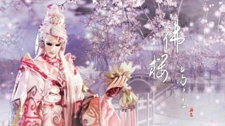 霹雳布袋戏在哪里可以看(霹雳布袋戏霹雳城)