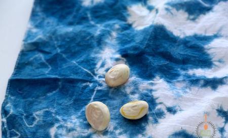 菠萝蜜的核能吃吗?怎么吃(菠萝蜜核有什么作用和功效)