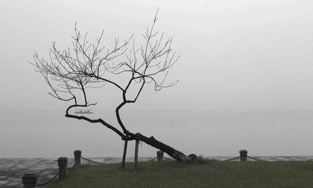 有故事的人都想要的壁纸