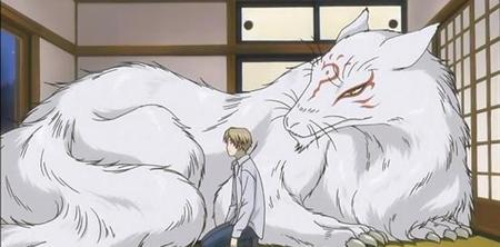 夏目友人帐三三变成夏目是哪一集(夏目友人帐猫妖是哪一集)