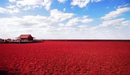 怀二胎婆婆不帮忙带孩子怎么办