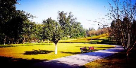 如何教育学生做人做事(家教老师性格特点)