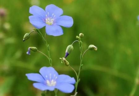 长寿男人的六个共性