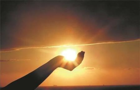 我理想的家庭关系