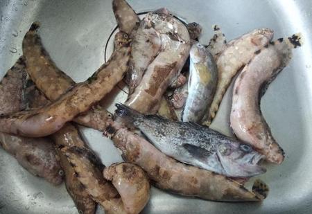 渤海休渔期是几月份到几月份(渤海休渔期是几月份到几月份2020)