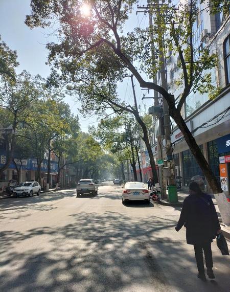 农村有蛇吗(农村平安家庭是什么)