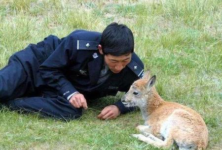 人类违反自然规律事例(违反自然规律的例子)