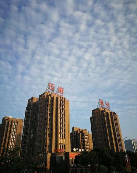 海南哪一年成为省(海南自贸区什么时候开始)