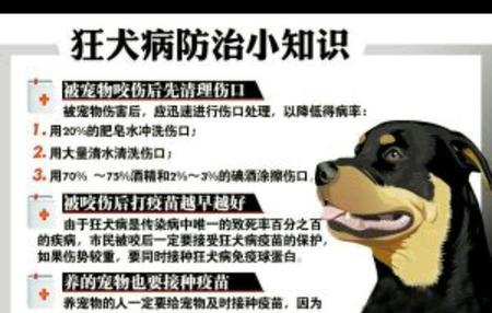 狂犬疫苗需要打几针多少钱(狂犬疫苗总共几针)