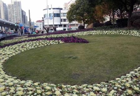 变形计最苦的小男孩