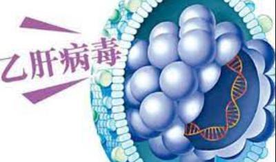 乙肝病毒携带者能活多久(乙肝病毒携带者可以活多久?乙肝病毒携带者可以转阴吗?)