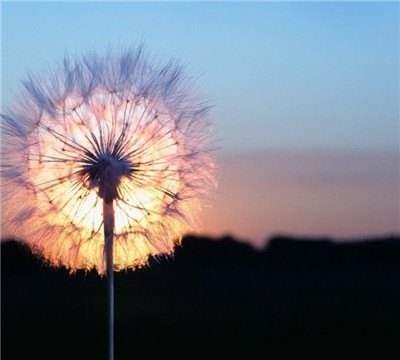 没有结果的两个人有必要在一起吗(因为一棵树放弃整片森林)