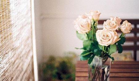 很爱一个人但父母很反对(父母反对的爱情怎么办)