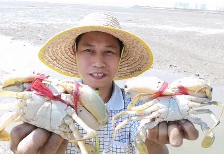 赶海是什么时间去合适