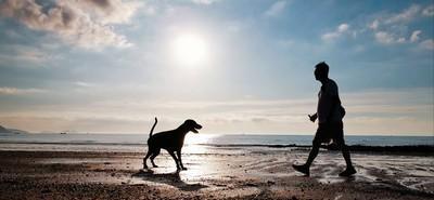 情深不寿慧极必伤出自哪里?