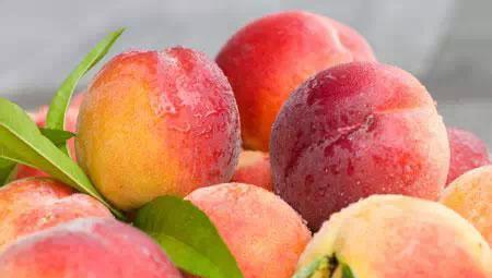 梨子营养高还是苹果营养高(水果青萝卜有什么好处)