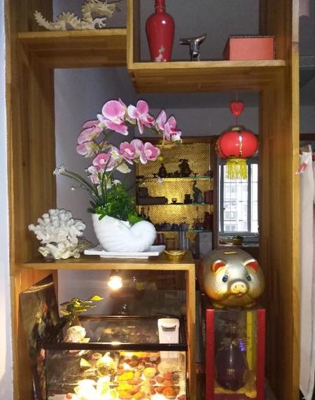 家里养什么样的乌龟好(做孩子的玩伴)