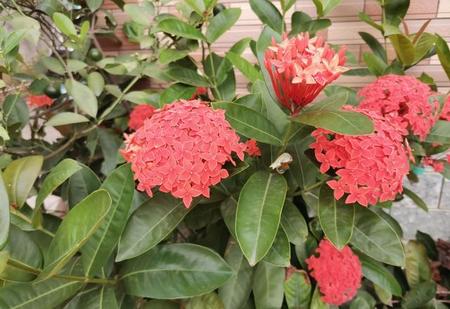 国色天香是指(国色天香形容女人什么意思)