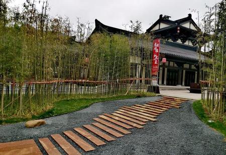 孤独终老会不会很惨