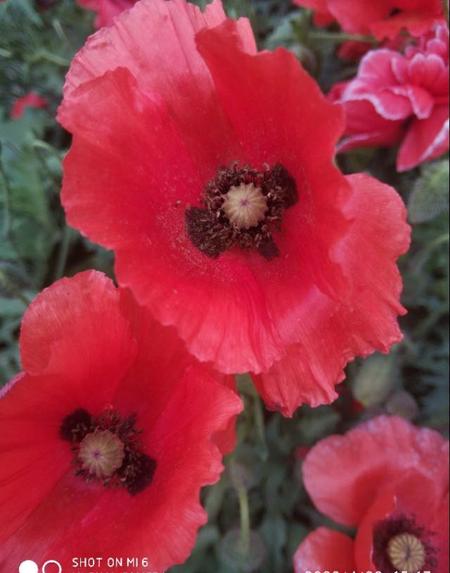 结局悲惨的爱情故事