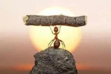 母亲去世我在坐月子怎么办