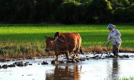 海南人说的什么话(海南人说的什么方言)