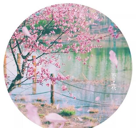 如何把照片做成圆形(怎么做圆形图片 美图秀秀)