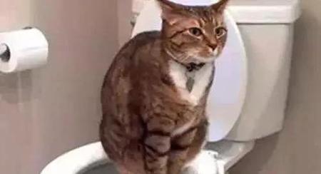 武大郎最后的结局(潘金莲为什么会嫁给武大郎)