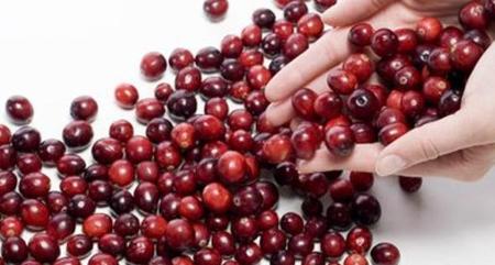 蔓越莓有什么功效对人体
