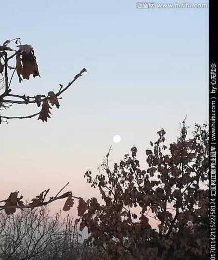 愿得一人心、白首不相离(愿得一人心 白首不相离诗词)