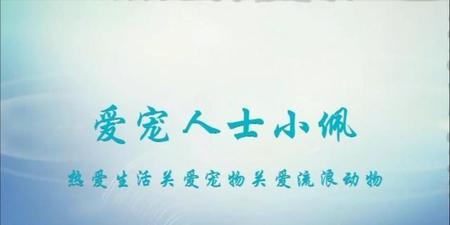 猫咪怀孕多少天生产