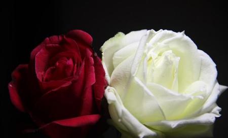 爱而不得到底有多痛苦