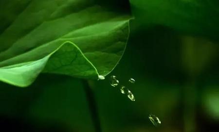 人生是命中注定的吗