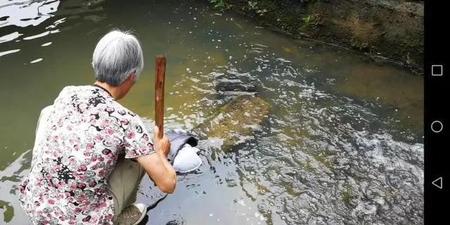 嵊州怎么样这个城市