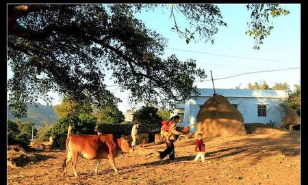 人的命都是老天安排好的(命运是老天爷安排的吗)