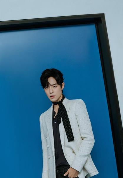 肖战为何遭黑(肖战为什么这么多黑粉)