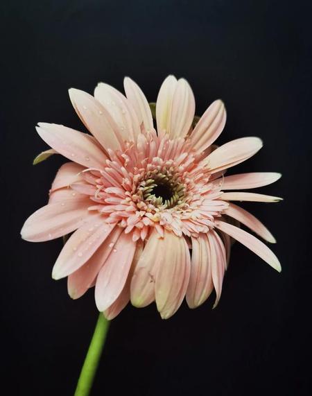 你身边离婚的人多吗 知乎(离婚后女方想复婚)