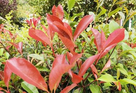 捡了10万失主说少了3万怎么应付(失物招领网)