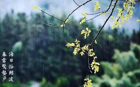 又是一年春好处绝胜烟柳满皇都是什么意思(最是一年春好处绝胜烟柳满皇都是什么意思)