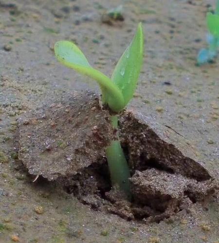 微信邮箱和qq邮箱能通用吗(微信发qq邮箱)