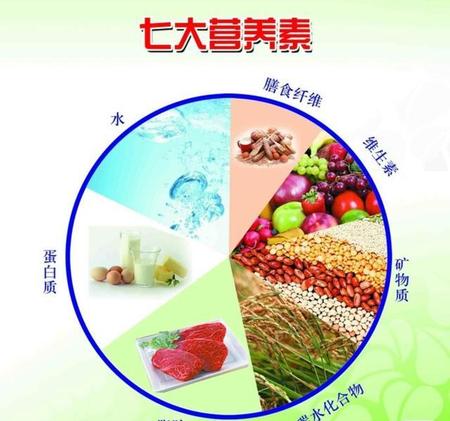 到底什么叫节食(节食到底能不能减肥)