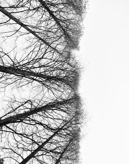 最终你还是选择了她