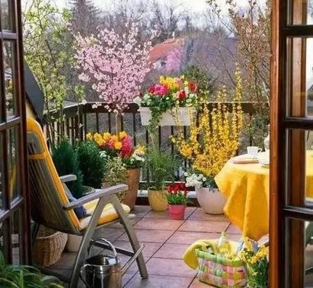 武汉看花的地方