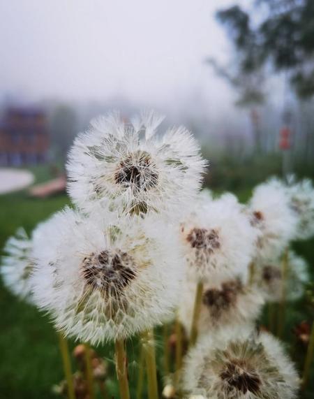 穷人真的很难翻身吗