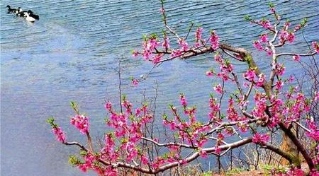 冯延巳的词的特点(冯延巳词的特点)