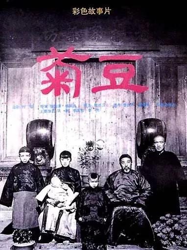 电影菊豆介绍(电影菊豆内容简介)