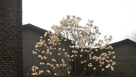 哪里的春天最美丽作文(美丽的春天优秀作文)