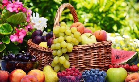 减肥酵素真的有用吗(酵素真的可以减肥吗效果怎么样)