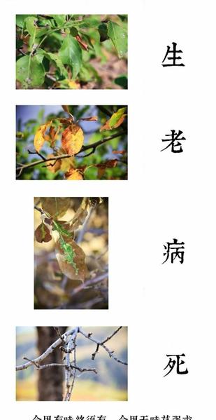 人越在乎什么就会失去什么